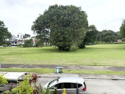 Mandai Garden (D26), Semi-Detached #503519351